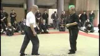 Hatsumi Bujinkan Daikomyosai 1999 [upl. by Acenes]