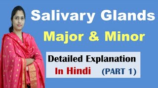 Salivary Glands  Major Salivary Glands  Types of saliary glands  In Hindi  NEET [upl. by Lletnahc]