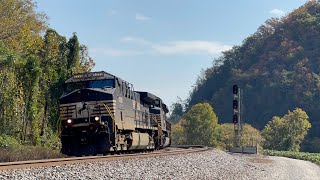 NS AC44C6M 4339 Leads Intermodal 28C on 102524 [upl. by Ydniahs]