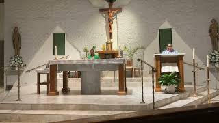 Spanish Mass at St John the Evangelist Catholic Church Pensacola FL [upl. by Azilef]