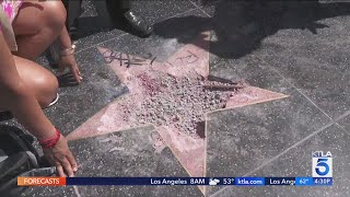 Petition to remove Donald Trump’s star on Hollywood Walk of Fame prompts mixed reactions [upl. by Lundquist254]