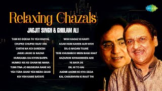 Relaxing Ghazals  Chithi Na Koi Sandesh  Dil E Nadan  Jagjit Singh Ghazals  Best Of Ghazal [upl. by Selene956]