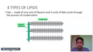 44 Lipids Biology Form 4 KSSM [upl. by Leiahtan]