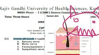 Anatomy 702 Arrector Pili Muscle Sympathetic Nerve PiloMotor Solved Question Paper MCQ [upl. by Pettit]