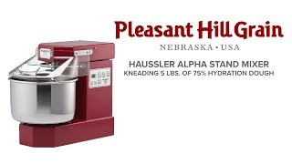 Häussler Alpha sprial mixer kneading 5 lbs of 75 hydration dough [upl. by Oberheim252]