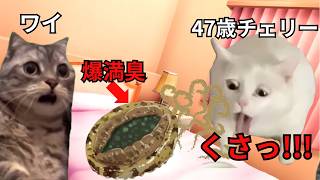 【猫ミーム】47歳未経験オジがワイの爆絶満臭で気絶した話＃猫マニ＃猫ミーム＃ママ界隈＃ママミーム [upl. by Igor]