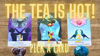 💕 ALL THE TEA ABOUT YOUR SP  How does heshe feel about you today  LOVE PICK A CARD Tarot [upl. by Sergeant]