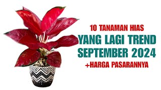 10 Tanaman Hias Yang Lagi Trend di Bulan September 2024 [upl. by Ultann]