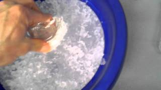 protein prep  putting resuspensions on ice for sonication  version two3gp [upl. by Lymn447]