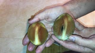 What is Sapodilla What Does it Taste Like [upl. by Riane]