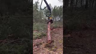 “Hightech harvesterInnovation in forestry” harvester forest viralvideo heavymachinery logging [upl. by Siroled]