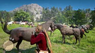 92 Horses Red Dead Redemption 2 [upl. by Lletnahc667]