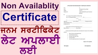 How to apply non availability birth certificate in punjab [upl. by Norty]