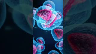 CERVICAL CANCER  VAGINA CANCER  3D ANIMATIONbiologyislife howtogetsuccessinlife getsuccess [upl. by Jeaz]