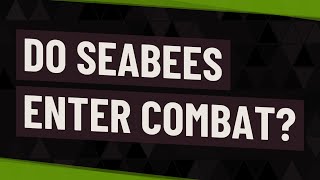 Do Seabees enter combat [upl. by Eladroc]