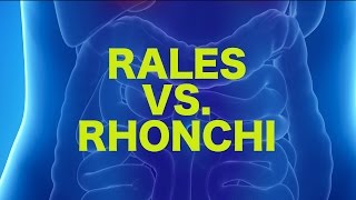 Rales vs Rhonchi  USMLE [upl. by Motch359]