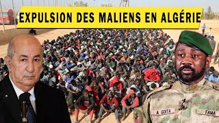 Expulsion des maliens a la frontiere avec lAlgérie [upl. by Dame]