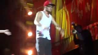 Best Song Ever  One Direction en Chile 01052014 [upl. by Rosalee]