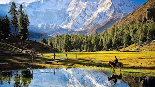 FAIRY MEADOWS  NANGA PARBAT The Killer Mountain  Explore Pakistan With TravellifePakistan [upl. by Orravan319]