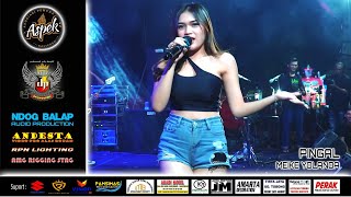 PINGAL  MEIKE YOLANDA  OM DWIPANGGA LIVE COVER ASPEK [upl. by Southard956]