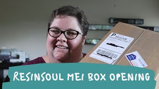 Light Tan Resinsoul Mei BJD Box Opening [upl. by Junno970]