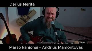 Marso kanjonai  Darius Nerita improvizacija [upl. by Nnaasil]