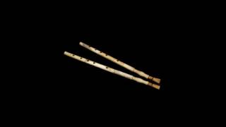 Bone Aulos from Paestum double pipe [upl. by Lehteb549]