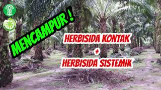 Mencampur Herbisida Kontak amp Herbisida Sistemik untuk Kebun Sawit [upl. by Ominoreg462]