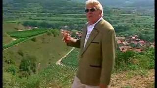 Dieter Thomas Heck  Schütt die Sorgen in ein Gläschen Wein 2001 [upl. by Torrell]