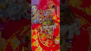 Man basia🌠🥰laddugopal youtubeshorts gopalseva poojashortsfeed [upl. by Cinemod]