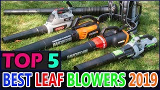 Best Leaf Blowers amp Leaf Vacuums in 2019 [upl. by Yenahteb]