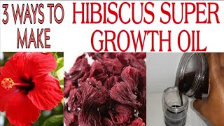 3 WAYS TO MAKE HIBISCUS SUPER HAIR GROWTH OIL [upl. by Nennek]