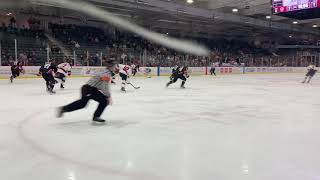 Birmingham Bulls goal vs Peoria Rivermen 31619 [upl. by Hanad484]