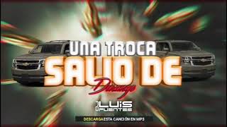 Una Troca Salio De Durango  Dj Luis Fuentes Rmx 2021 [upl. by Huskey]