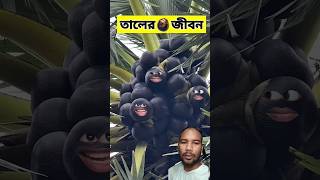 তালের জীবনে 😂  funnyvideo comedyshorts [upl. by Lyontine]