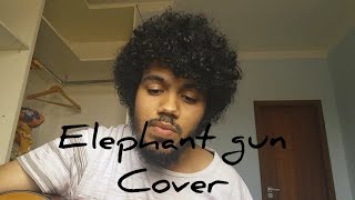 Elephant Gun  Beirut  Cover Yan Paiva [upl. by Andromada]