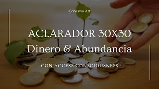 ✨ ACLARADOR 30X30 DINERO Y ABUNDANCIA ✨ accessconciousness [upl. by Caldera41]