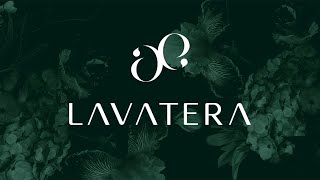 LAVATERA [upl. by Zenitram]