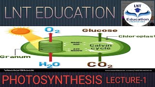 PHOTOSYNTHESISSCIENCE LECTURE1FOR HCS BOARD EXAM [upl. by Ardnusal]