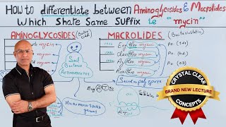 Aminoglycosides vs Macrolides  Antibiotics  Pharmacology [upl. by Ole]