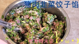 韭菜猪肉饺子馅的做法——史上最详尽教程、包管好吃！ [upl. by Noreen]