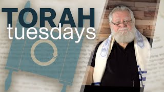 Tazria amp Metzora  Torah Tuesdays with Monte Judah [upl. by Nylrak]