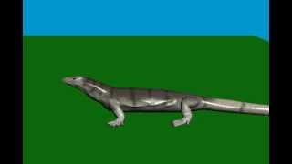 Monitor Lizard Walking Animation [upl. by Alwyn]