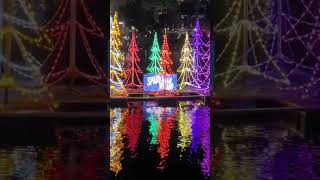 Tampa Florida  looking like Christmas 🎄 [upl. by Osborne]