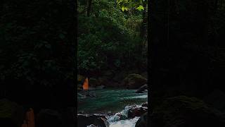 Beautiful Flowing rivergreenry⛰️ asmrshorts shortsfeedriver [upl. by Christoforo]