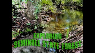 Spring Hunting in Seminole State Forest [upl. by Skipton]