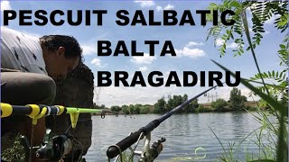 Pescuit pe Balta Salbatica Bragadiru Este peste in aceasta balta [upl. by Rubin337]