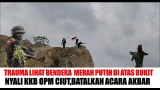 TRAUMA PERISTIWA LAMANYALI KKB OPM CIUT LIHAT BENDERA MERAH PUTIH DI ATAS BUKIT [upl. by Careaga367]