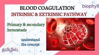 ALLIED HEALTH SCIENCE  Blood Coagulation in tamil  Extrinsic amp Intrinsic pathway [upl. by Kovacev794]