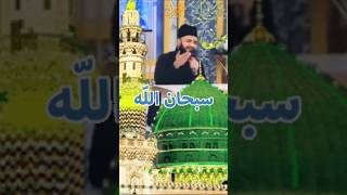 Humko Apni Talab Se🌷  Mehmood ul Hassan Asharfi Naat Sharif🌹  naat ytshorts ytube [upl. by Ploss118]